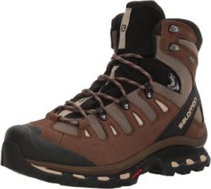 Salomon Men's Quest 4D 2 GTX Canvas Hiking Boots